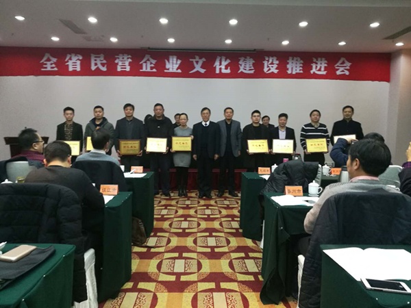 三寶科技榮獲“江蘇省民營(yíng)企業(yè)文化建設(shè)示范單位”